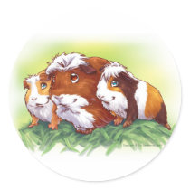 Guinea Pigs stickers