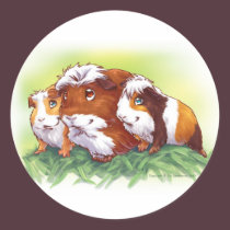 Guinea Pigs stickers