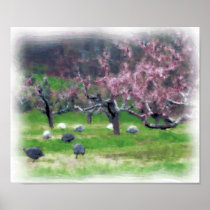 Guineas in the Orchard Print/Poster