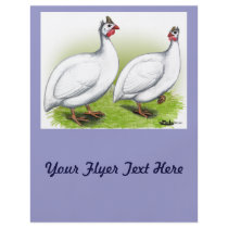 Guineas:  White Flyer Design