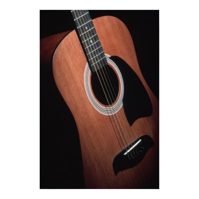 Guitar Print w/o Borders by JFFLETCHER