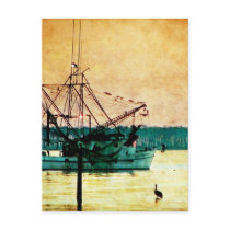 Gulf Coast postcards