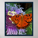 Gulf Fritillary Art Print