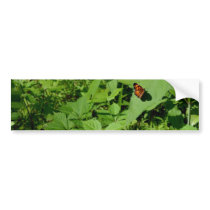 Gulf Fritillary Butterfly-13 Bumper Stickers