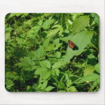 Gulf Fritillary Butterfly-13 Mouse Pad