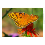 Gulf Fritillary Butterfly and Red Flower Card