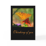 Gulf Fritillary Butterfly and Red Flower Card