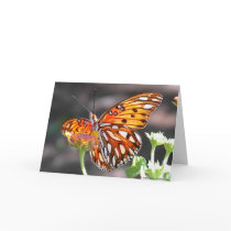 Gulf Fritillary Butterfly Greeting Card