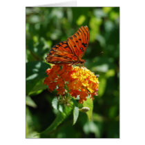 Gulf Fritillary Butterfly on Yellow Lantana Card