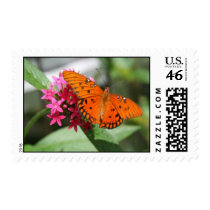 Gulf Fritillary Butterfly postage
