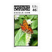 Gulf Fritillary Butterfly postage