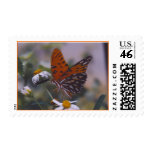 Gulf Fritillary butterfly Postage Stamps
