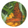Gulf Fritillary Butterfly Stickers