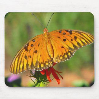 Gulf Fritillary Butterfly Upclose mousepad