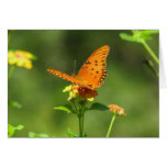Gulf Fritillary on Lantana Cards