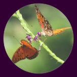 Gulf Fritillary Pair on Vervain stickers