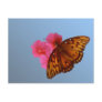 Gulf Fritillary Post Cards