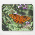 Gulf Fritter Butterfly mousepads