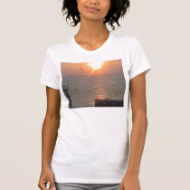Gulf Galveston Seagull Pelicans t-shirts