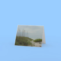 gulf of mexico florida cards
