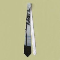 gulf of mexico florida ties