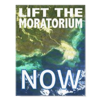 Gulf Oil Spill Lift the Moratorium poster print