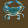 GulfCoast BlueCrab