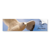 Gull bumper stickers