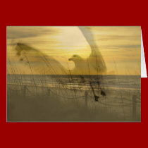 Gull By The Sea Blank Card cards