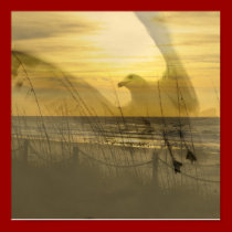 Gull By The Sea posters