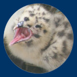 Gull Chick Sticker stickers