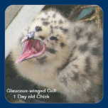 Gull Chick Sticker stickers
