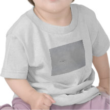 Gull Floating in A Grey Sky Shirt