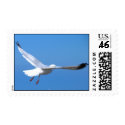gull in flight_2 postage by axel82 gull in flight_2 postage