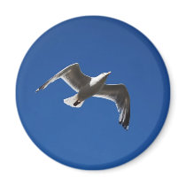 Gull in Flight Magnet