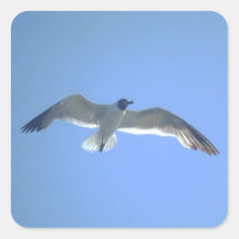 Gull in Flight Sticker