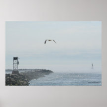 Gull  In the Fog Posters
