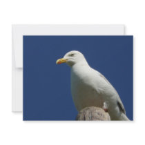 Gull invitations