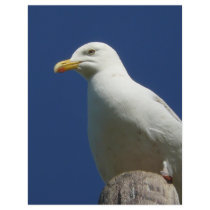 Gull letterhead by seascapeart Gull letterhead