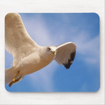 Gull mousepads
