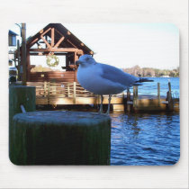 Gull on a post mousepads by dduhaime55 Gull on a post mousepads