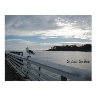Gull on Pier at San Simeon State Beach Postcard