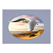 Gull on the Wing Over Beach Invites