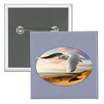 Gull on the Wing Over Beach Pinback Buttons