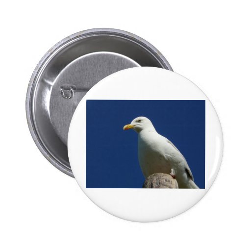 Gull Pinback Button