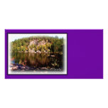 Gull Pond Cliff Formation Photocard Customized Photo Card