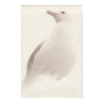 Gull posters