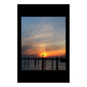 Gull poster posters by ronnie44052 Gull poster posters