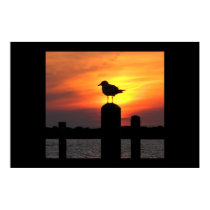 Gull poster posters
