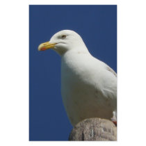 Gull stationery by seascapeart Gull stationery